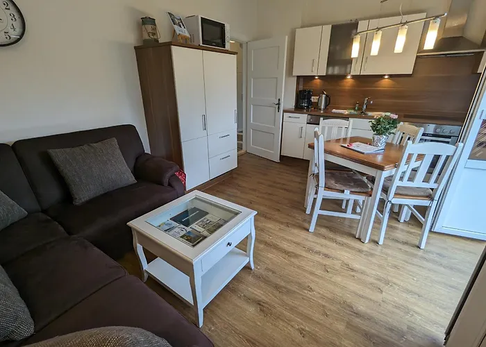 Austernfischer Wyk auf Föhr